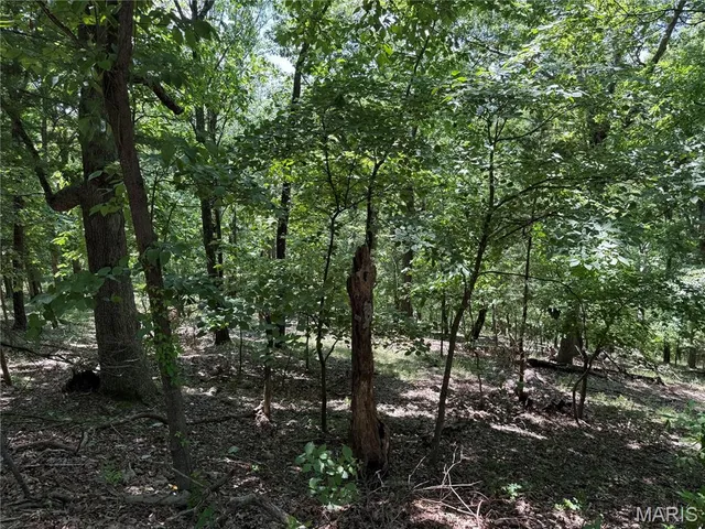 $75,000 | 1361 Bear Canyon Road, Wildwood, MO 63021