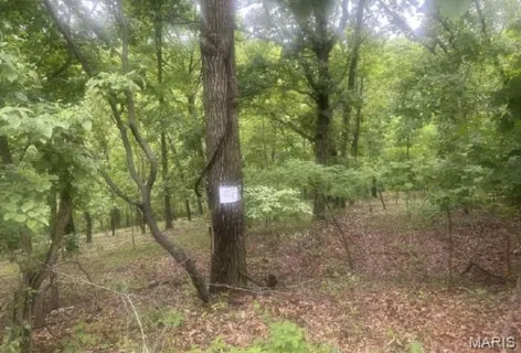 $75,000 | 1361 Bear Canyon Road, Wildwood, MO 63021