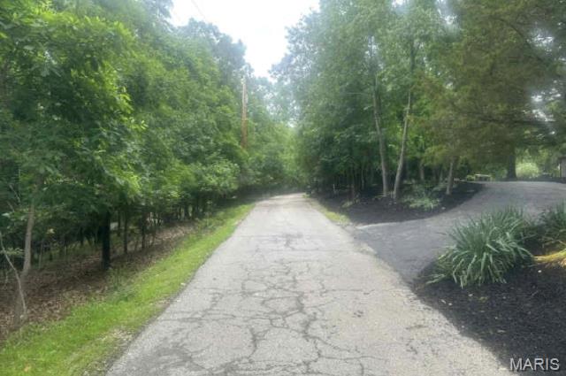 1361 Bear Canyon Road Wildwood, MO 63021 - Photo 5 of 6