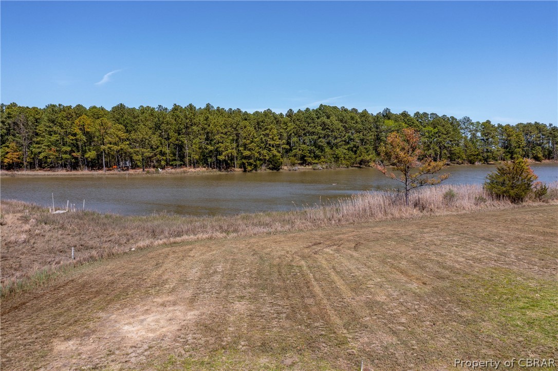 0 Piney Point Road Onemo, VA 23130 - Photo 12 of 14