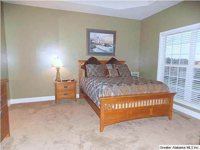 593 Ridgefield Way Odenville, AL 35120 - Photo 9 of 23
