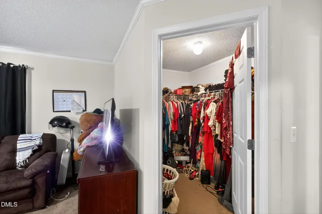 a view of a livingroom with furniture and closet