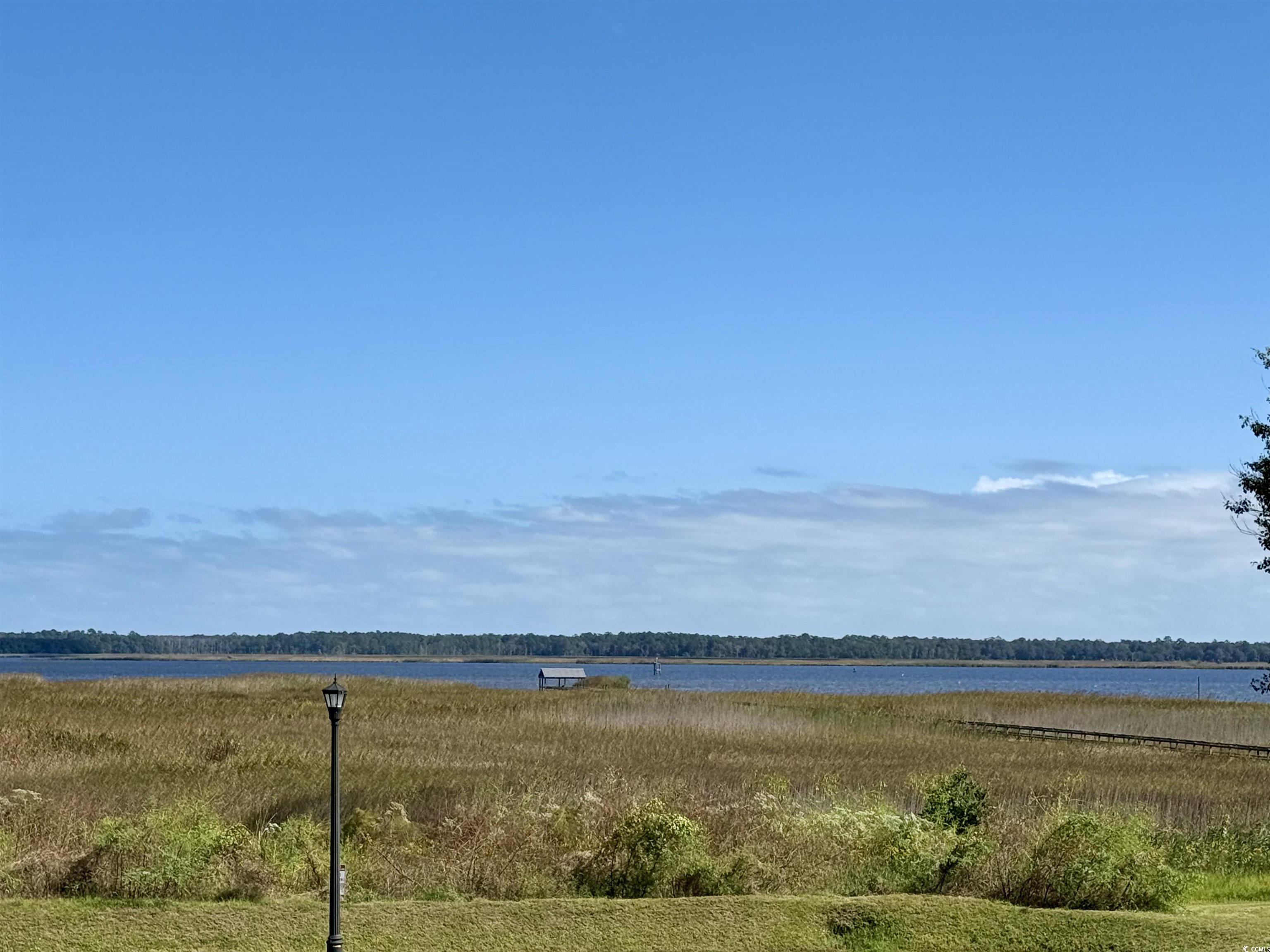 100 Oak Bay Drive Georgetown, SC 29440 - Photo 28 of 29 Water view
