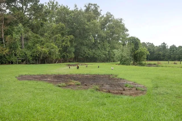 $399,000 | 78021 Donnie Road, Folsom, LA 70437