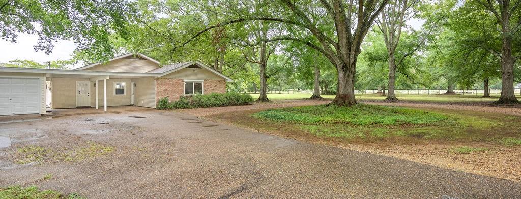 78021 Donnie Road Folsom, LA 70437 - Photo 5 of 22 Gallery Image 5