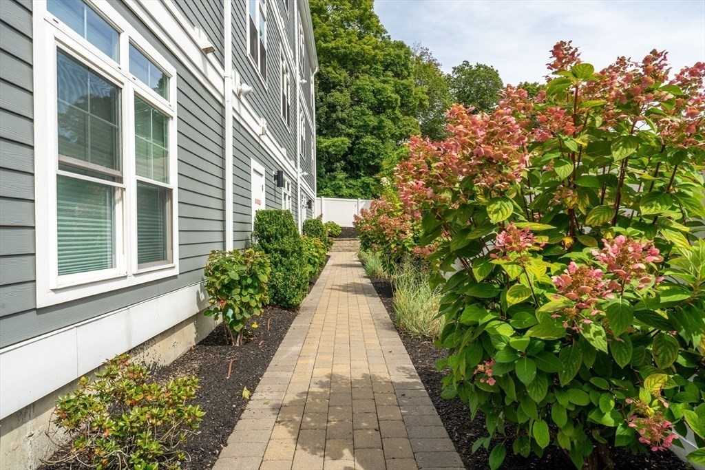 315 College Farm Road, Unit 1 Waltham, MA 02451 - Photo 12 of 15