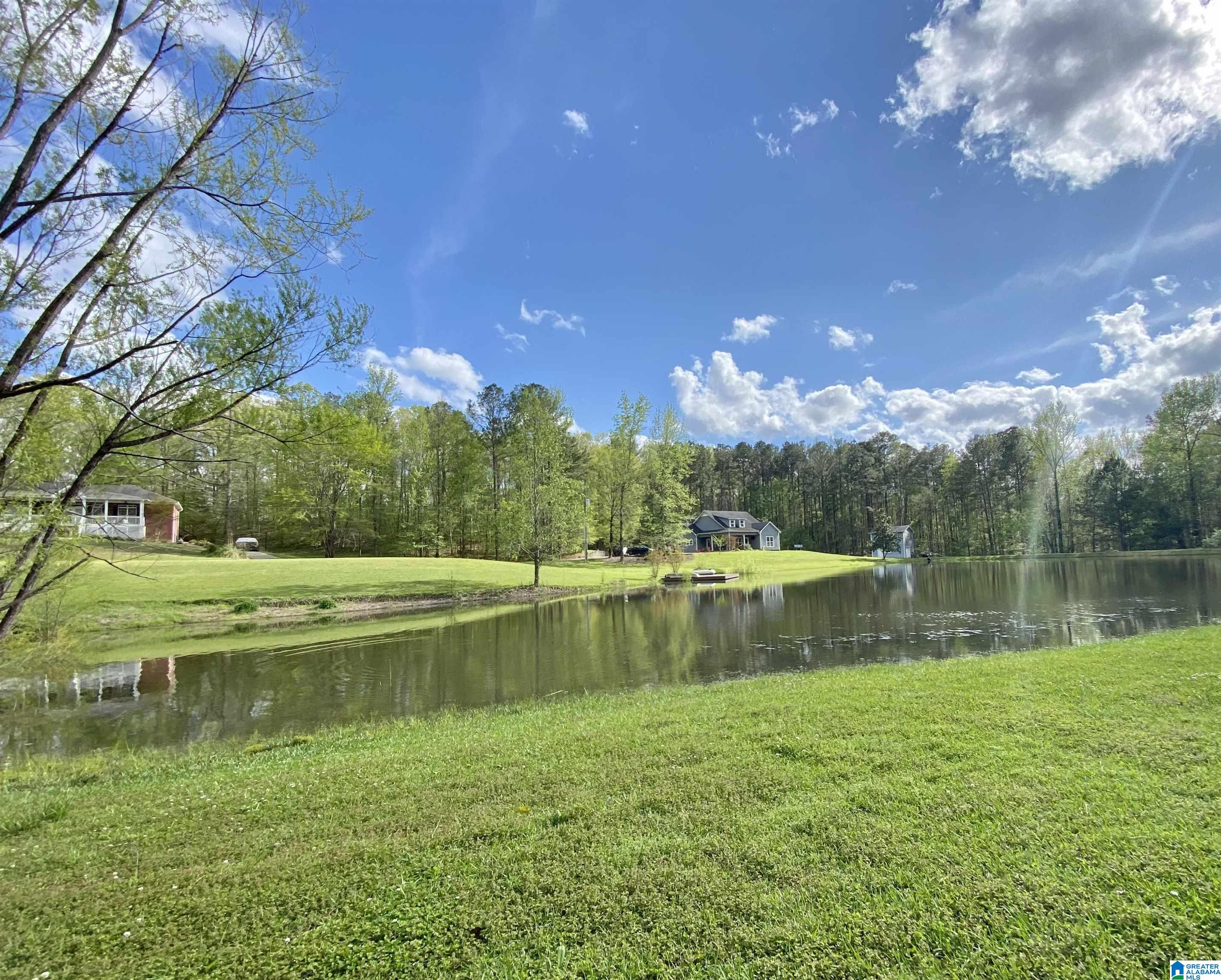 150 Ridgeway Lane Helena, AL 35080 - Photo 3 of 41