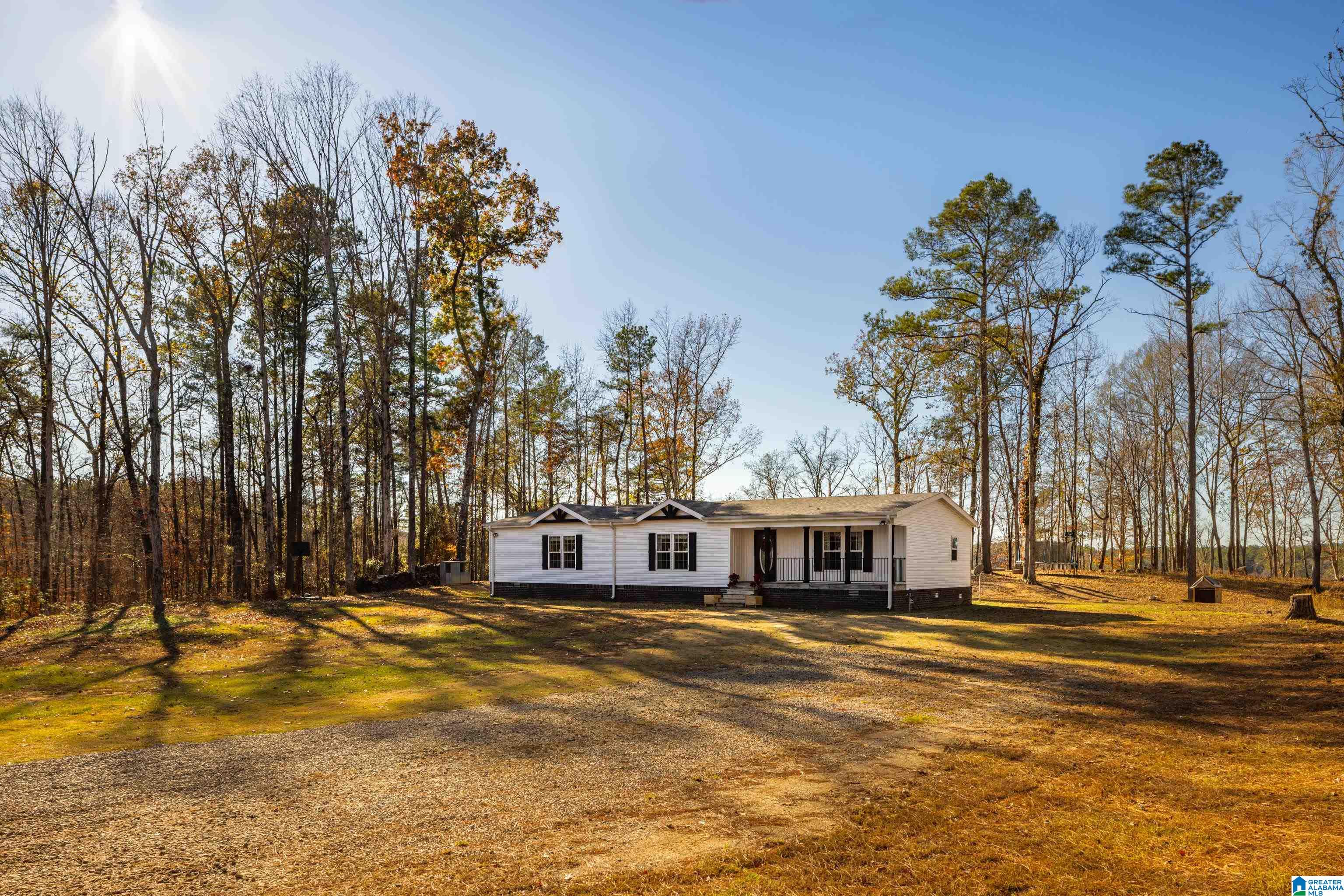 191 Warrior River Highlands Road Adger, AL 35006 - Photo 6 of 81