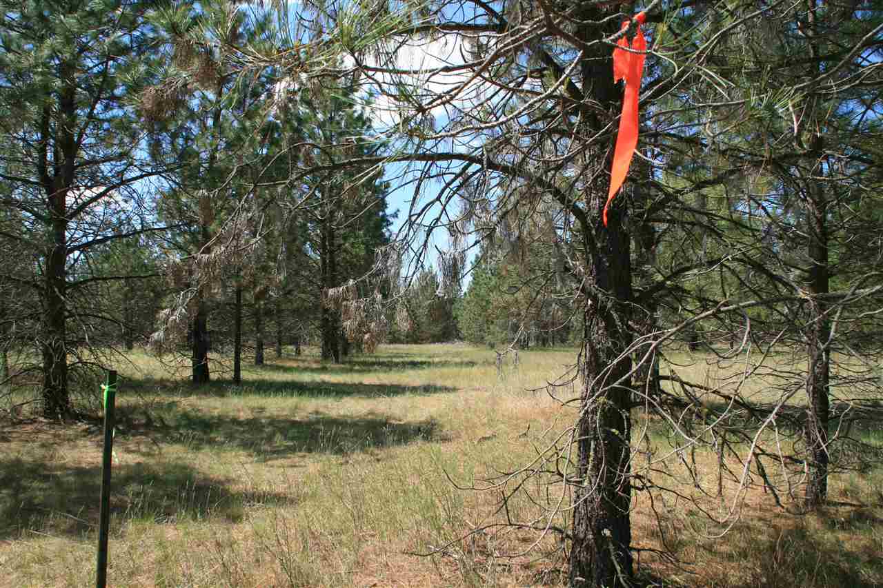 Lot 15 North Bruce Road Chattaroy, WA 99003 - Photo 3 of 6