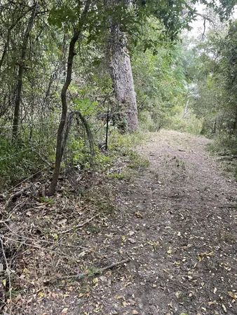 a view of a in a field