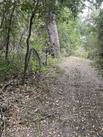 a view of a in a field