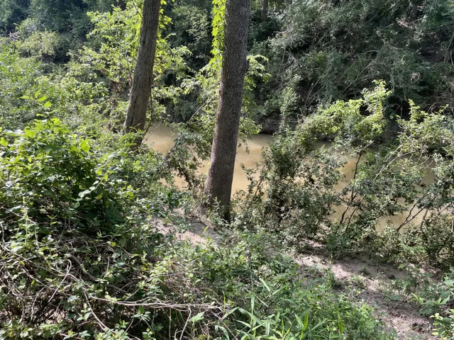 a view of a lake with top of green space