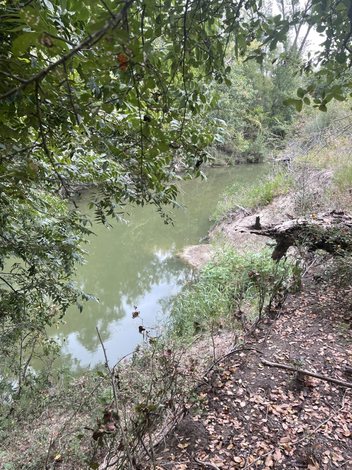 Tbd Donahoe Road Bartlett, TX 76511 - Photo 20 of 27 a view of a lake with top of green space