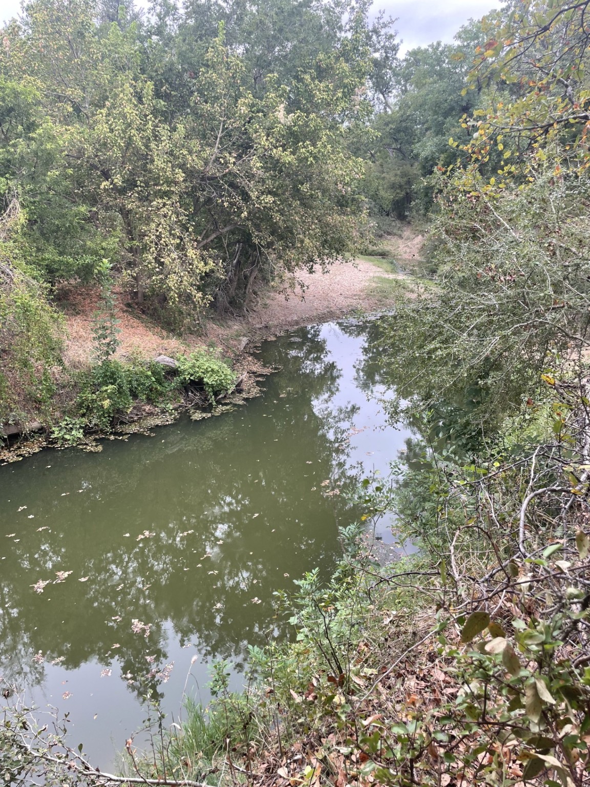 Tbd Donahoe Road Bartlett, TX 76511 - Photo 24 of 27