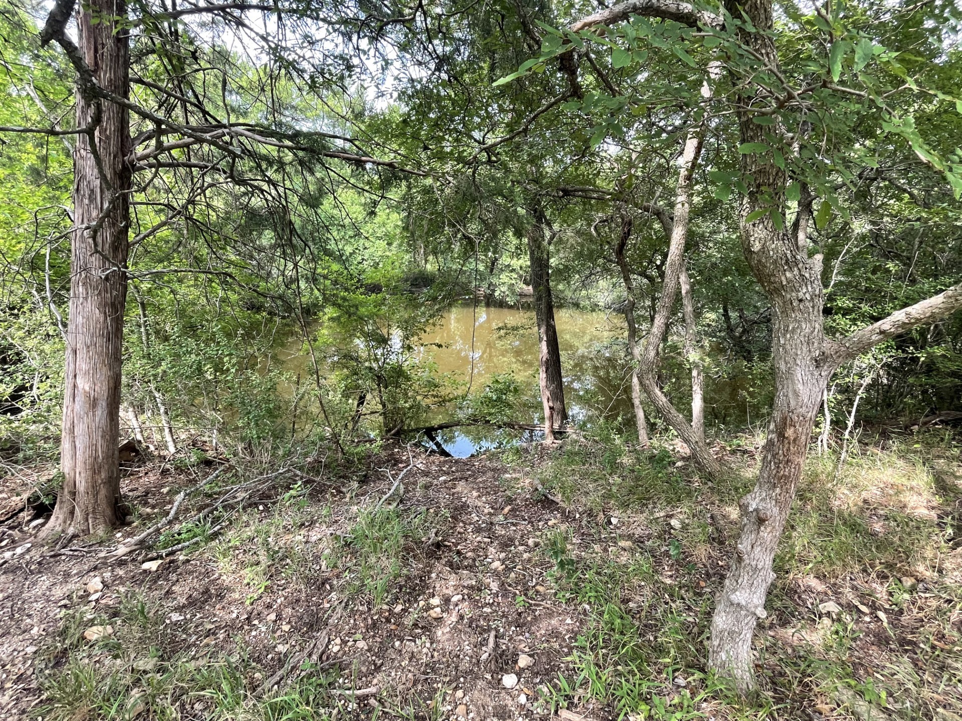 Tbd Donahoe Road Bartlett, TX 76511 - Photo 26 of 27 a view of a forest with trees in the background