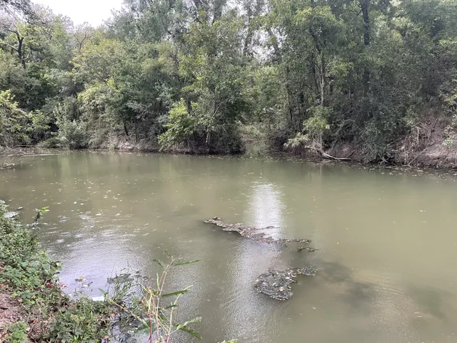 $2,913,500 | Tbd Donahoe Road, Bartlett, TX 76511