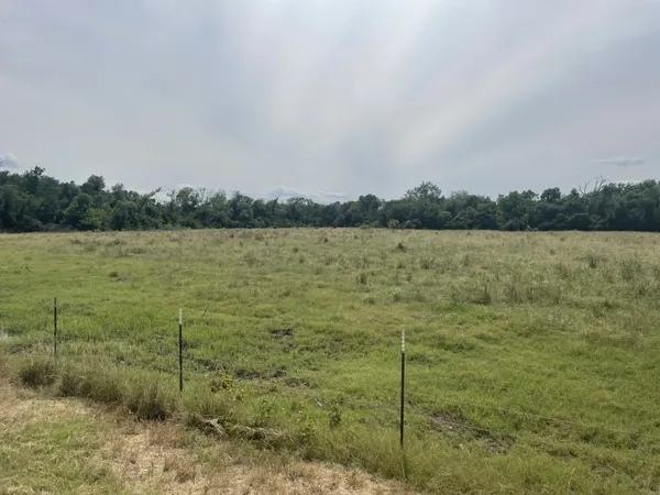 a view of a lake from a yard