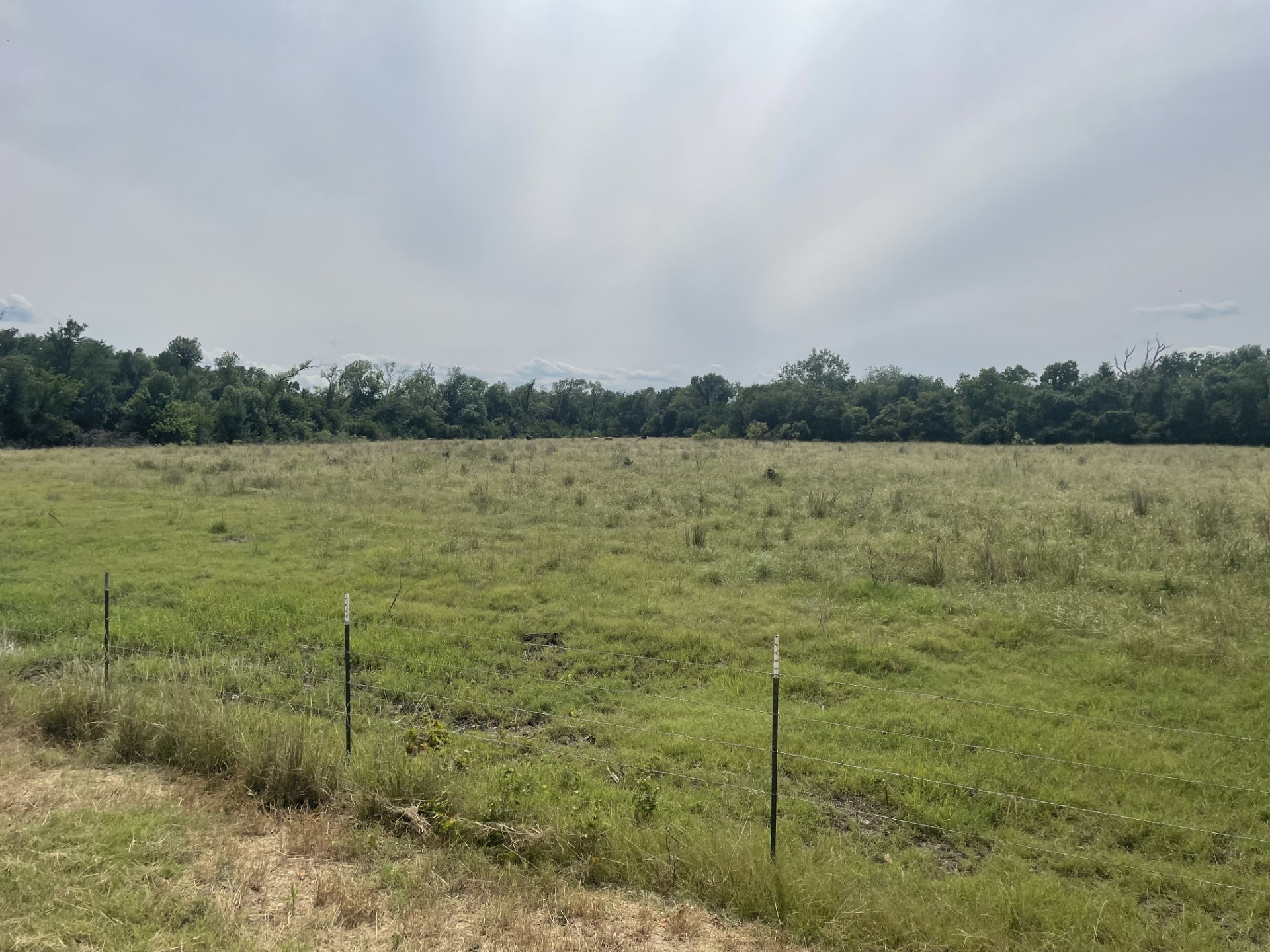 Tbd Donahoe Road Bartlett, TX 76511 - Photo 3 of 27 a view of a lake from a yard