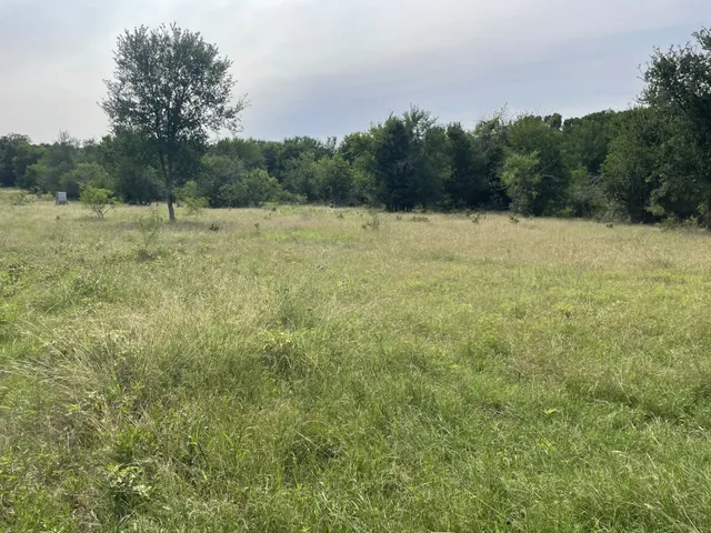 a view of a field with trees in the background