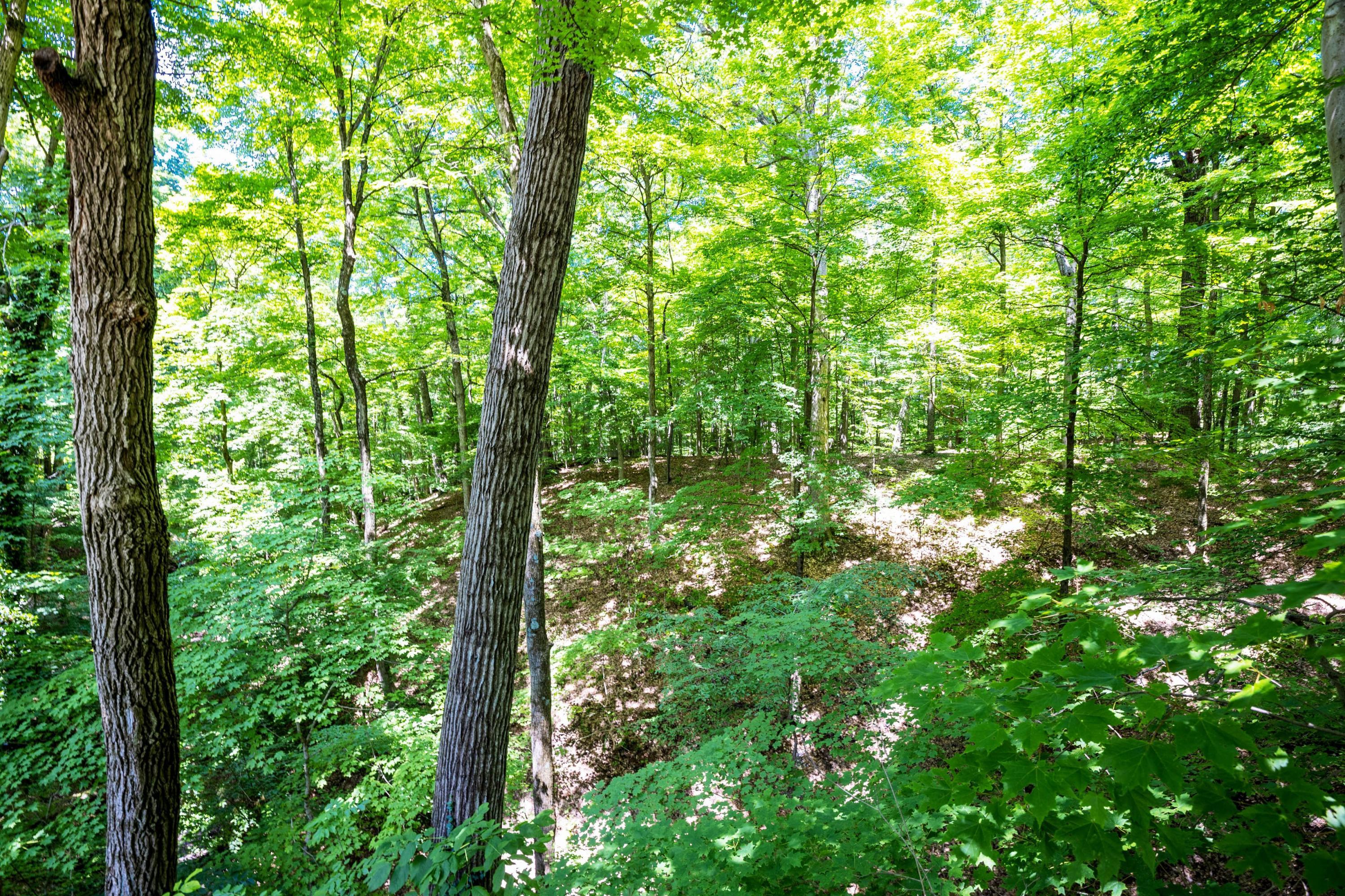 844 West Orange Road Delaware, OH 43015 - Photo 52 of 69 Gallery Image 52