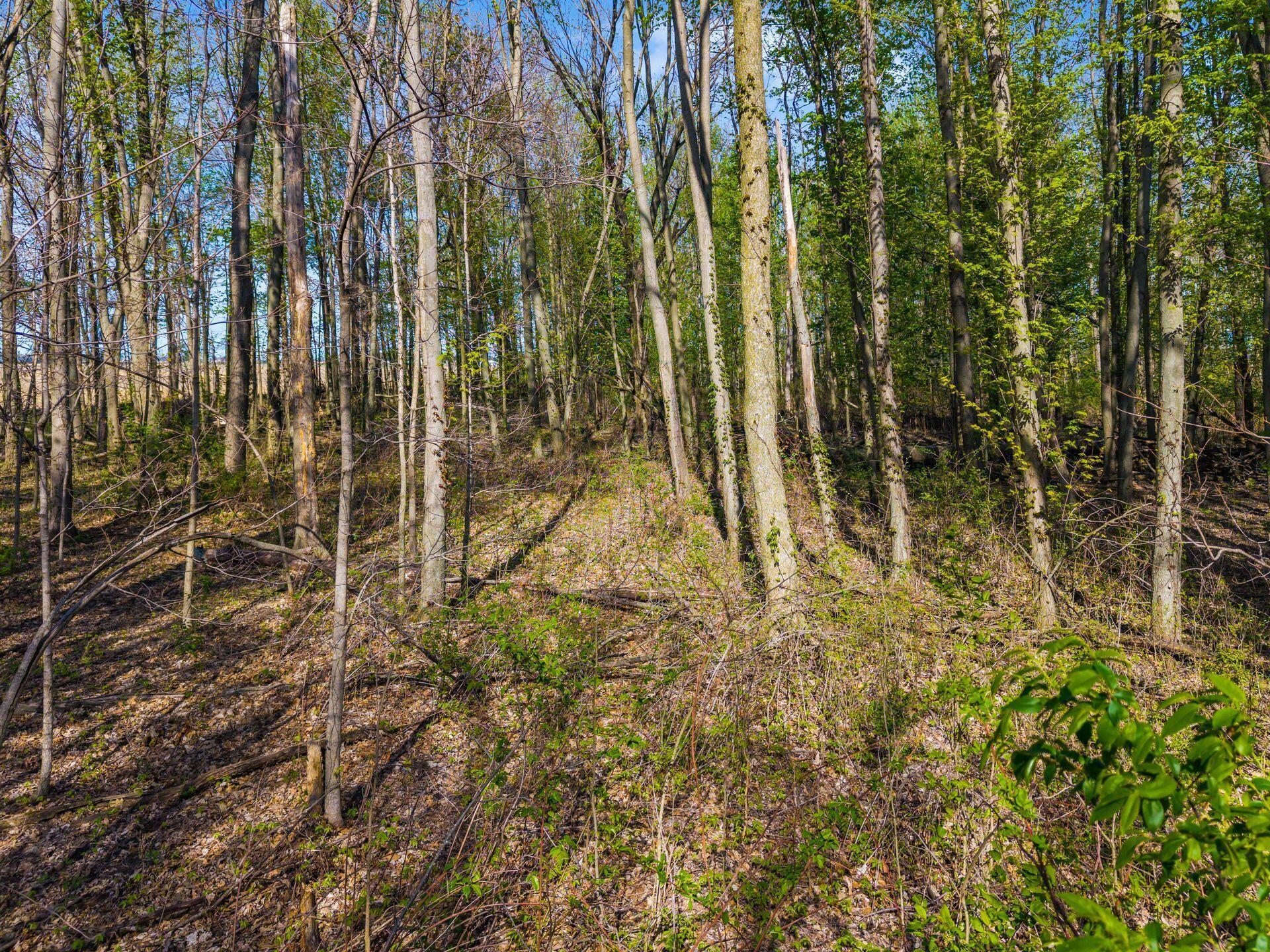 0 Fields Road Richwood, OH 43344 - Photo 13 of 30 .