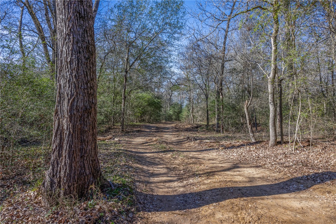10466 Old Hearne Road Hearne, TX 77859 - Photo 14 of 16