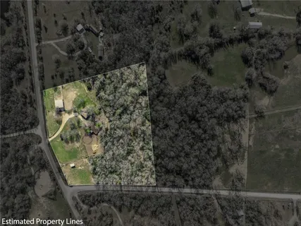 a view of a yard with plants