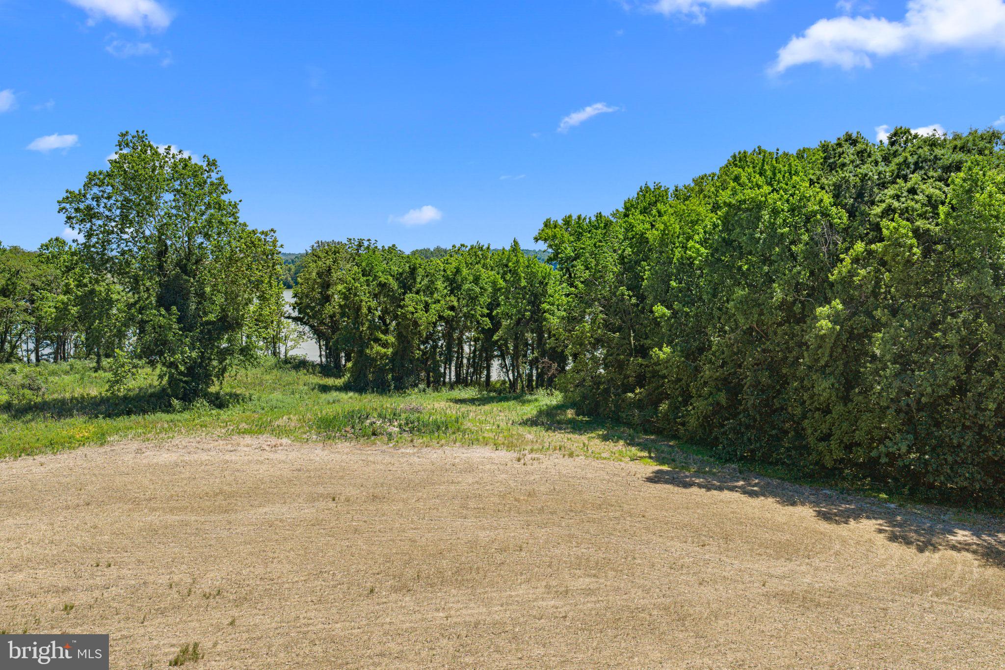 Lot 1 Zacata Road Montross, VA 22520 - Photo 6 of 15