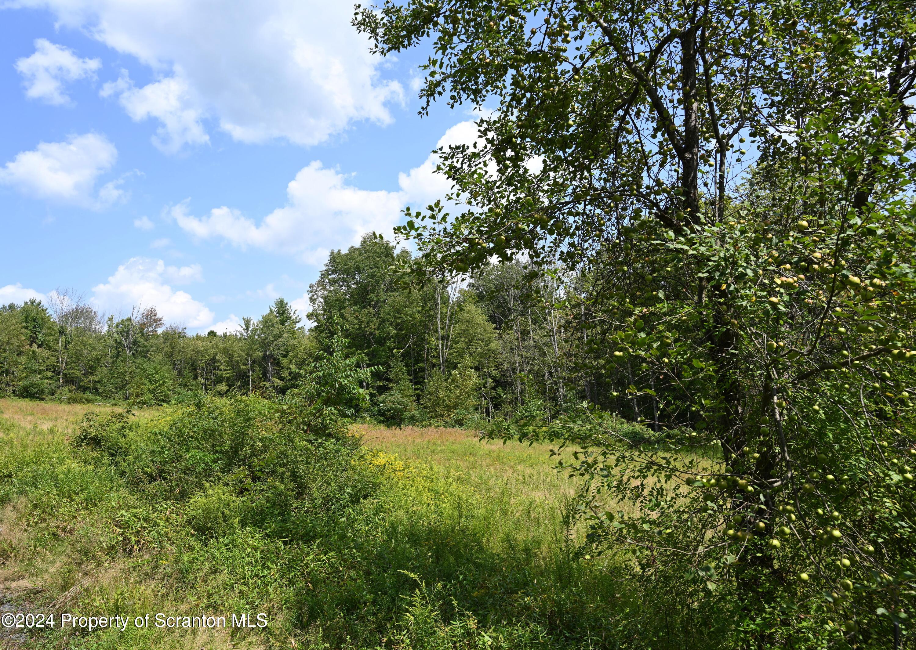 1260 Graham Hollow Road Hallstead, PA 18822 - Photo 1 of 6 a view of a green field with lots of bushes