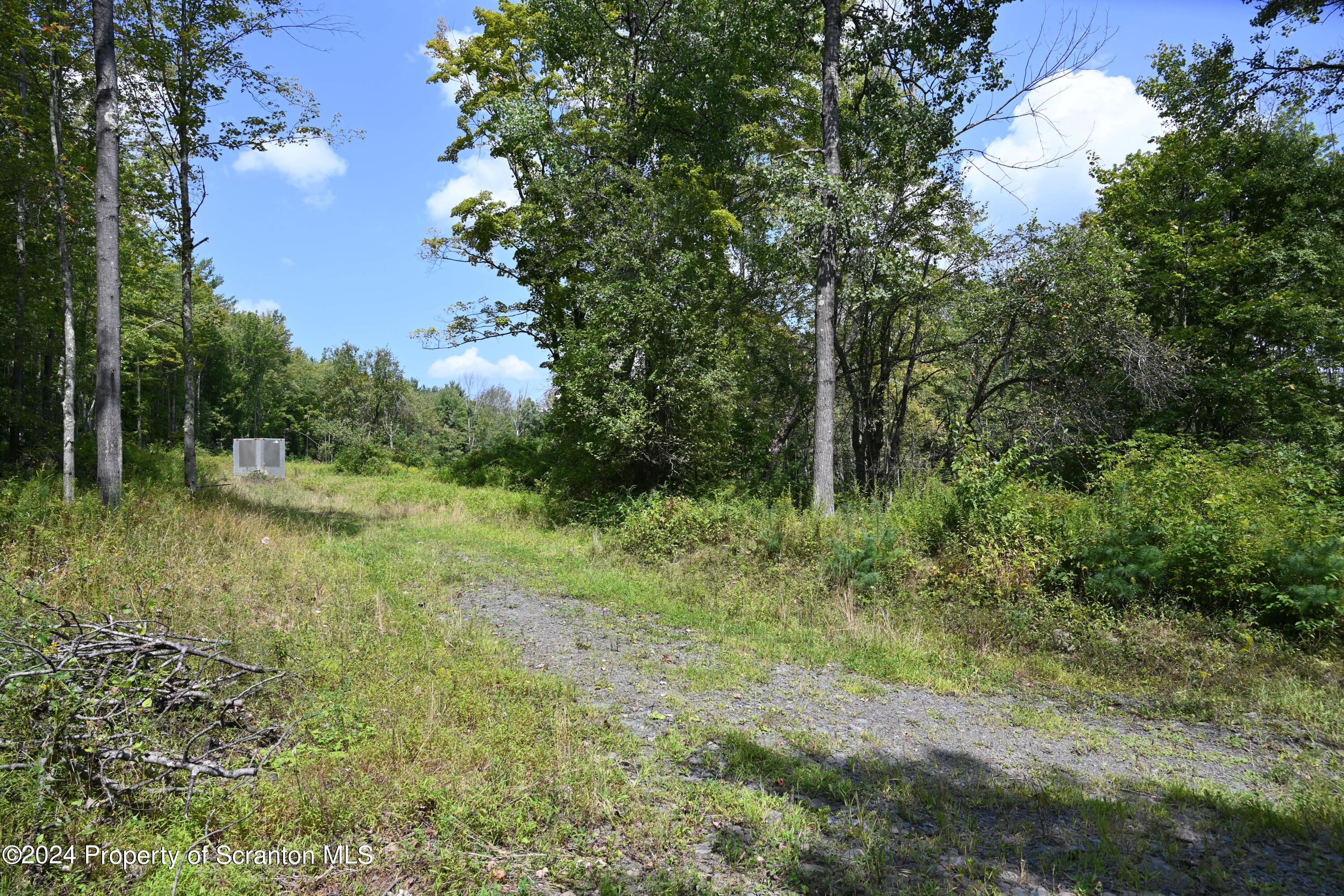 1260 Graham Hollow Road Hallstead, PA 18822 - Photo 2 of 6 a lush green forest with lots of trees