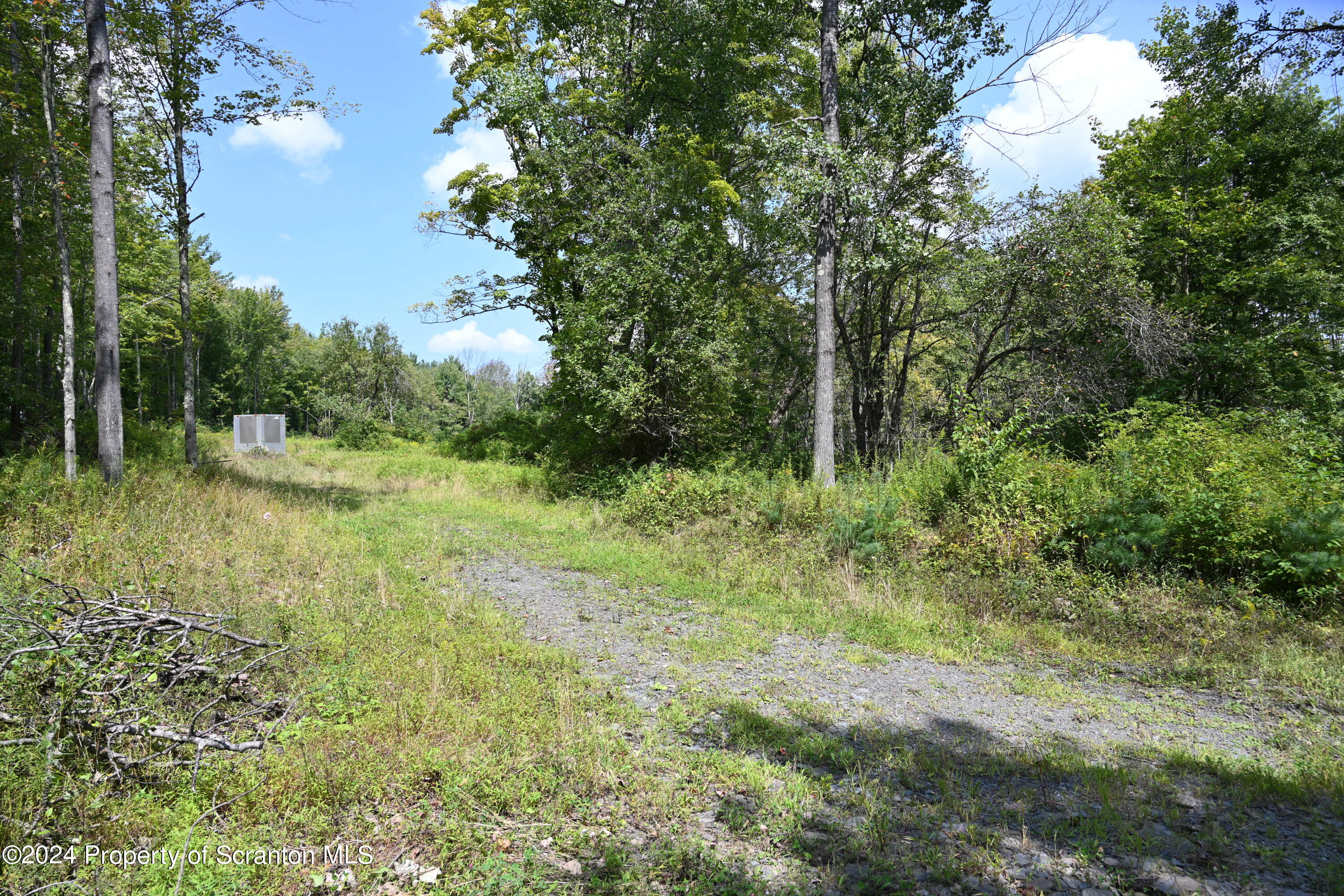1260 Graham Hollow Road Hallstead, PA 18822 - Photo 6 of 6 a view of outdoor space and trees all around