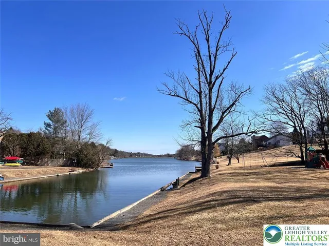 a view of a yard with large trees