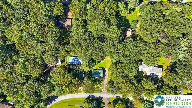 a view of a yard with plants