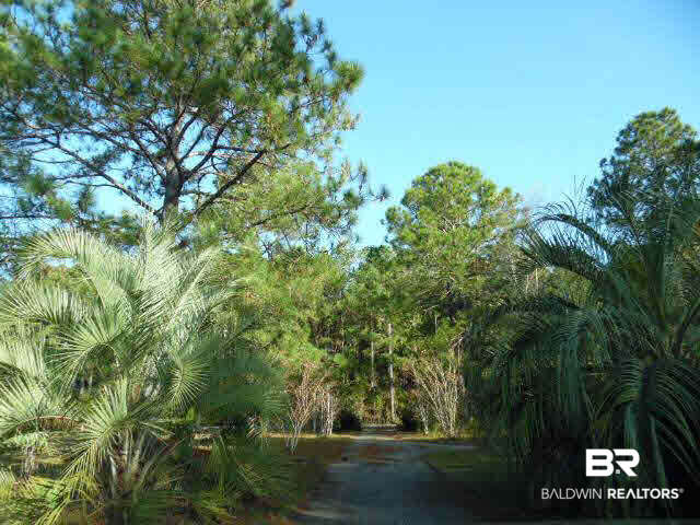 13390 Southworth Road Summerdale, AL 36580 - Photo 29 of 29