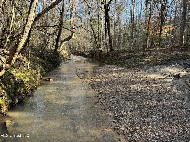 $1,920,000 | Hickory Ridge Road, Hermanville, MS 39086