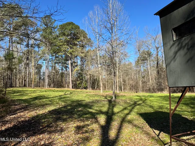 $1,920,000 | Hickory Ridge Road, Hermanville, MS 39086