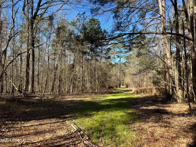 $1,920,000 | Hickory Ridge Road, Hermanville, MS 39086