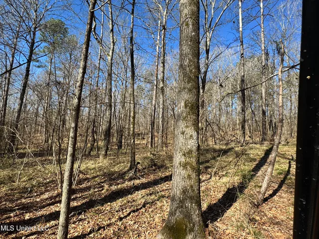 $1,920,000 | Hickory Ridge Road, Hermanville, MS 39086