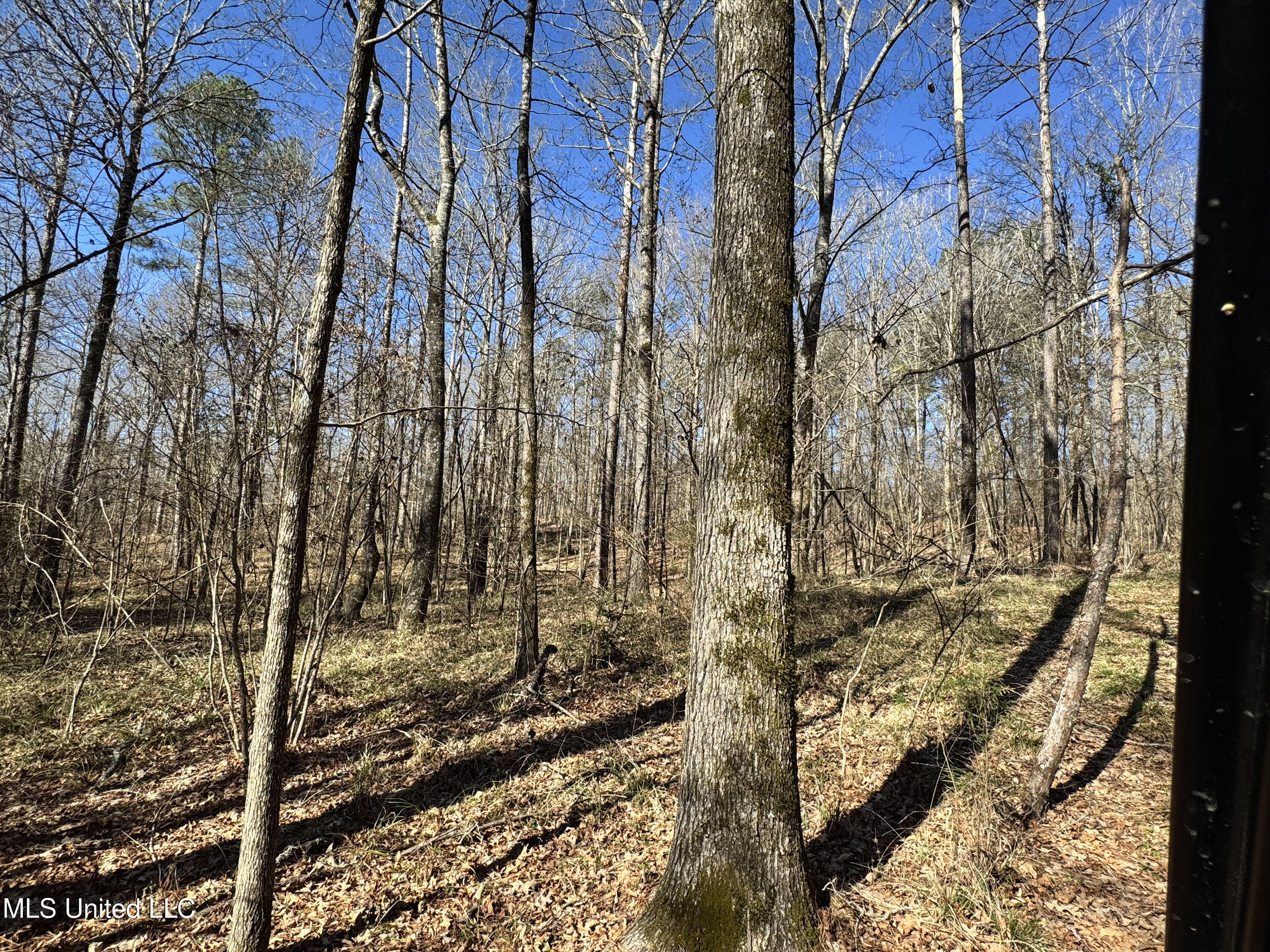 Hickory Ridge Road Hermanville, MS 39086 - Photo 13 of 43 Franklin Post Property-15