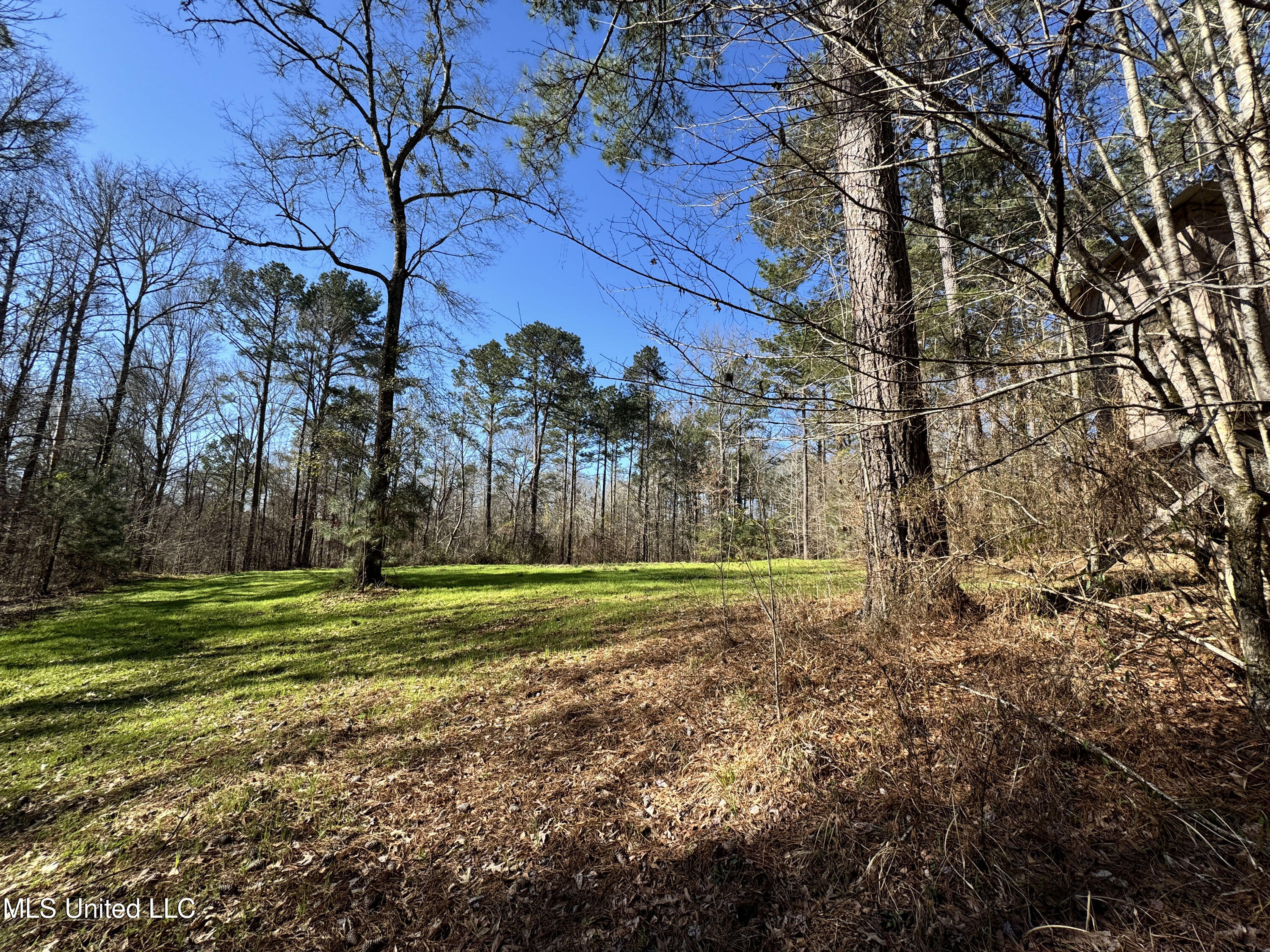 Hickory Ridge Road Hermanville, MS 39086 - Photo 16 of 43 Franklin Post Property-22