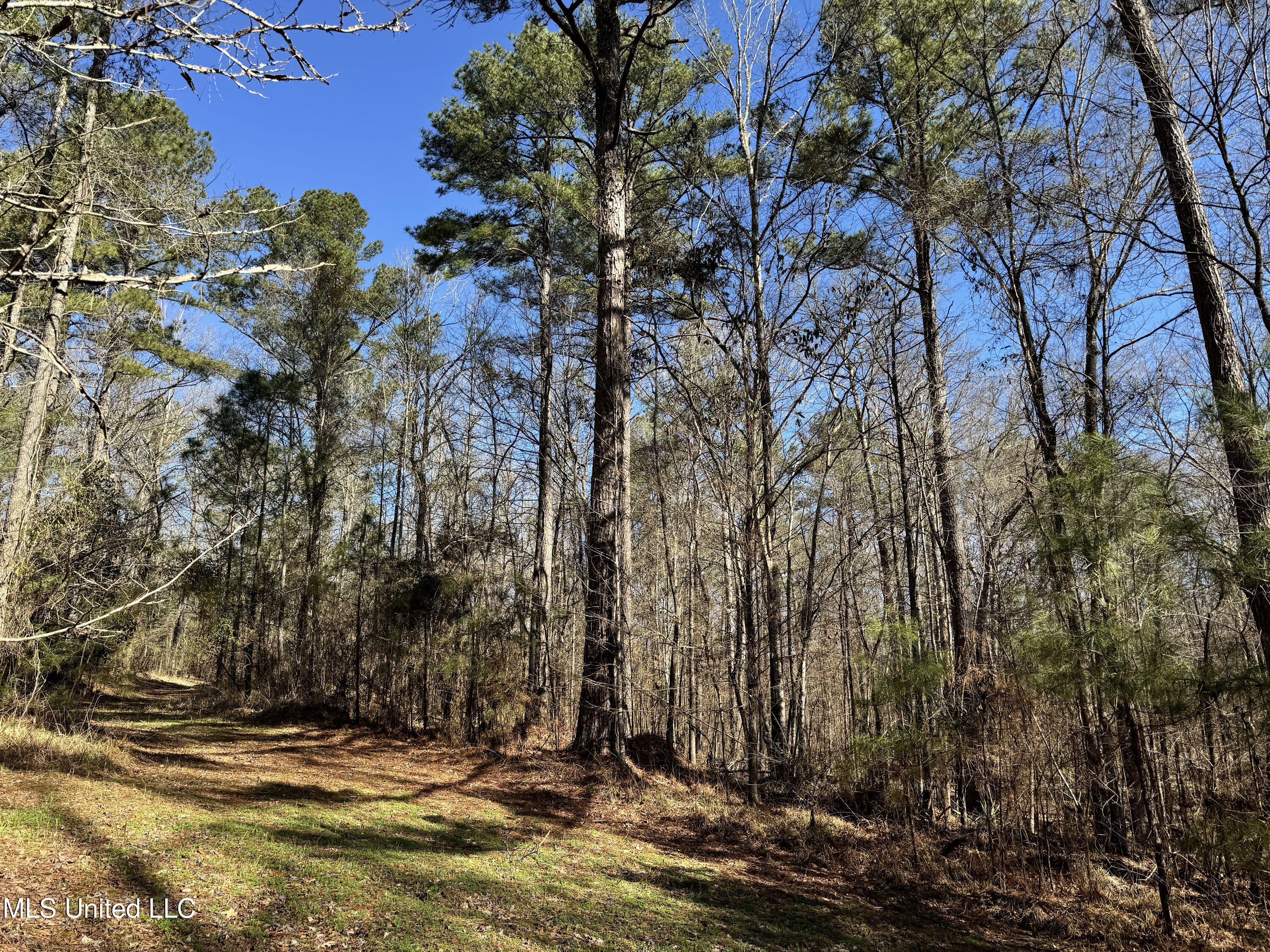 Hickory Ridge Road Hermanville, MS 39086 - Photo 17 of 43 Franklin Post Property-23