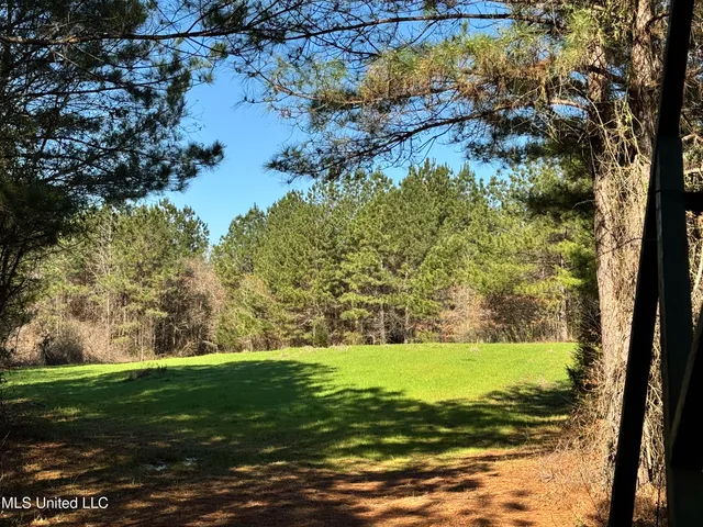 $1,920,000 | Hickory Ridge Road, Hermanville, MS 39086