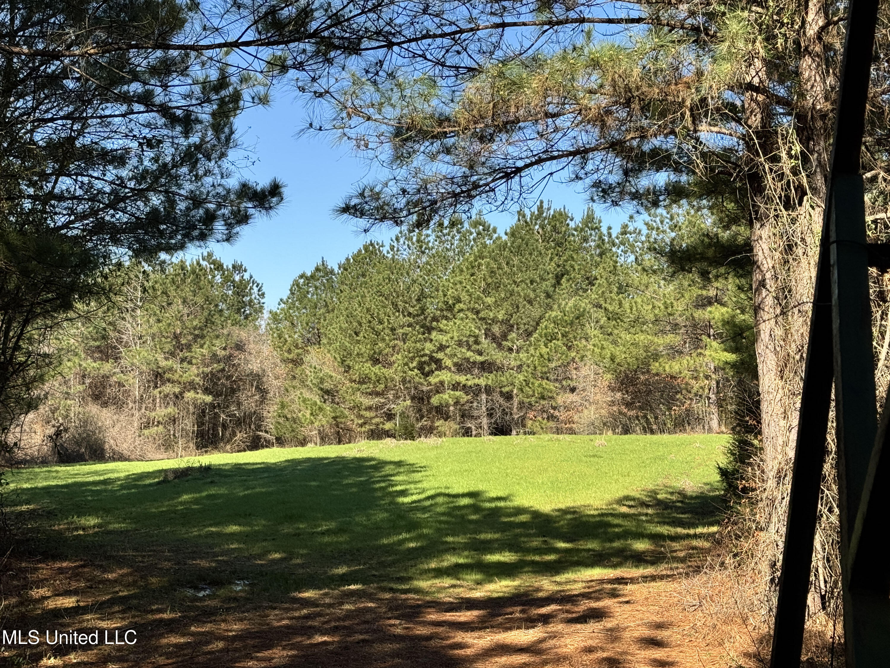 Hickory Ridge Road Hermanville, MS 39086 - Photo 20 of 43 Franklin Post Property-27