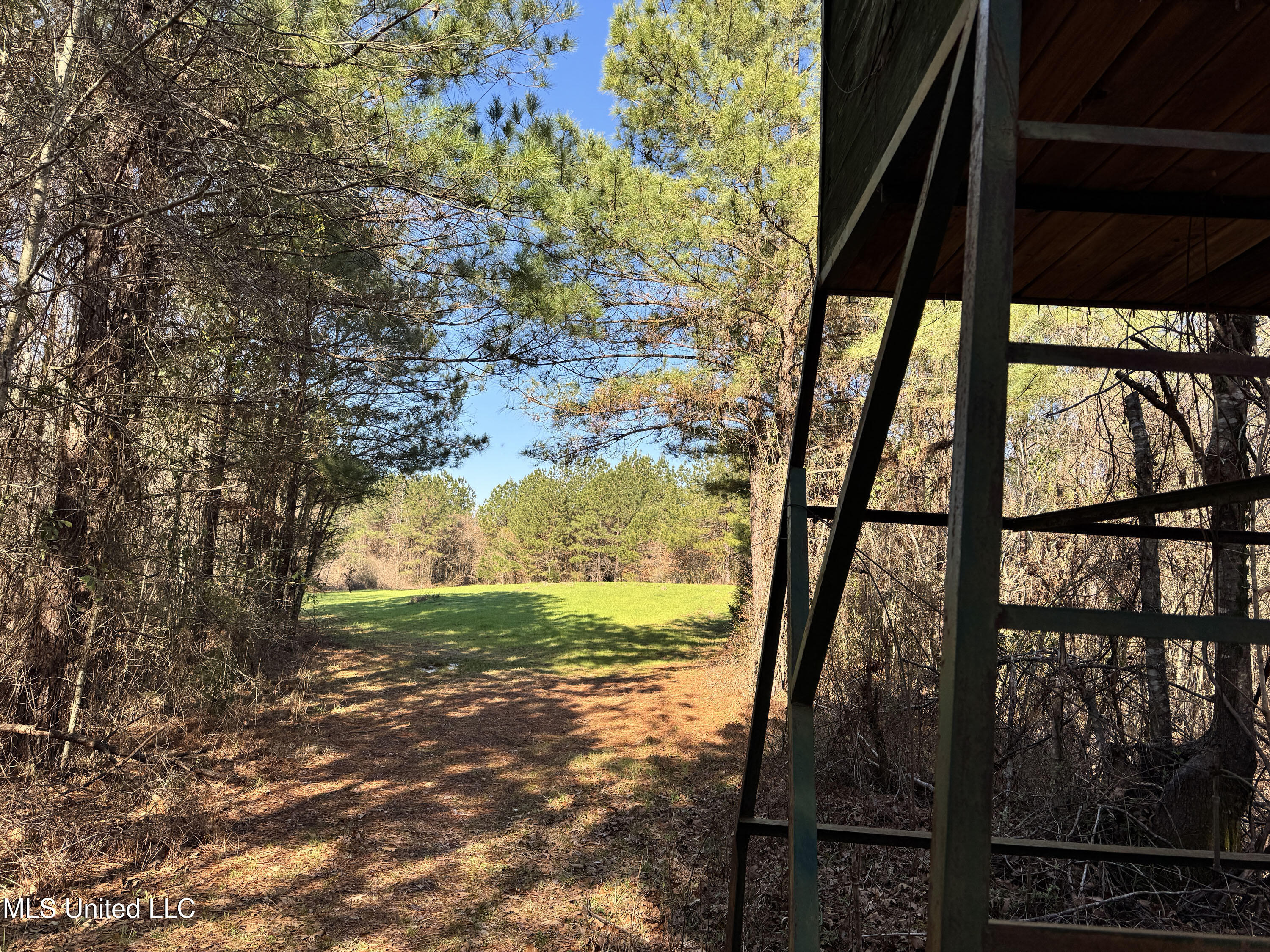 Hickory Ridge Road Hermanville, MS 39086 - Photo 21 of 43 Franklin Post Property-28