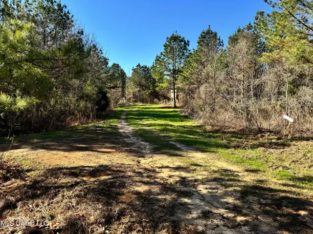 $1,920,000 | Hickory Ridge Road, Hermanville, MS 39086