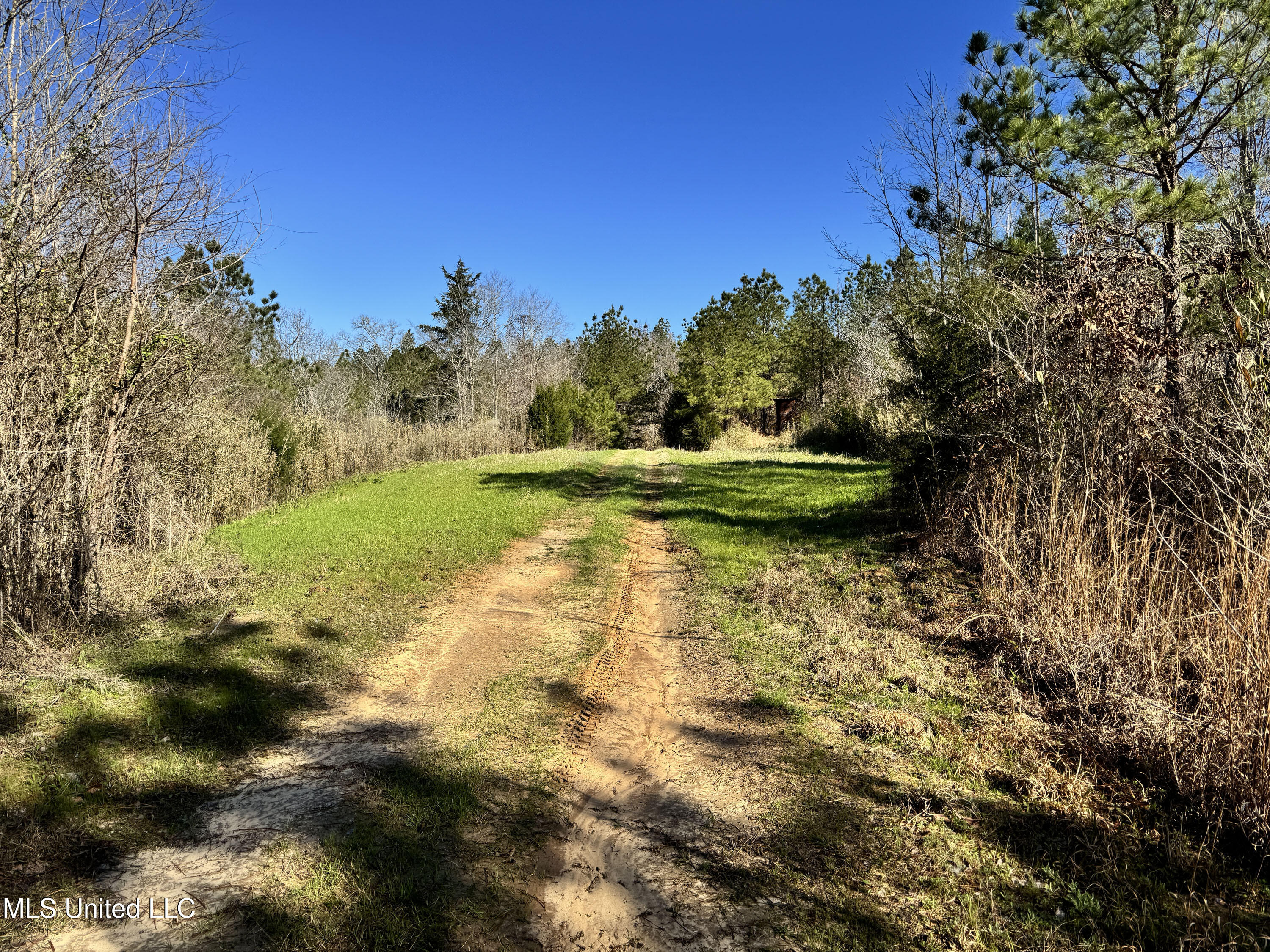 Hickory Ridge Road Hermanville, MS 39086 - Photo 24 of 43 Franklin Post Property-34
