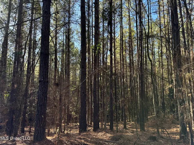 $1,920,000 | Hickory Ridge Road, Hermanville, MS 39086