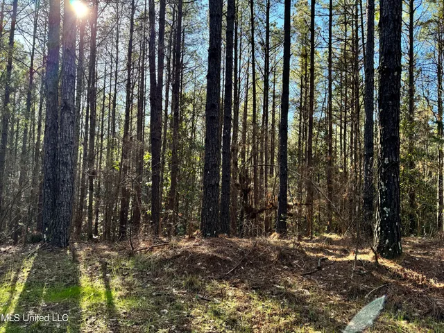 $1,920,000 | Hickory Ridge Road, Hermanville, MS 39086