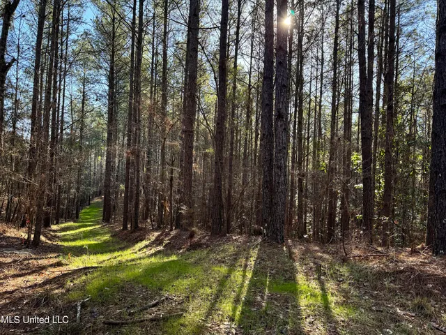 $1,920,000 | Hickory Ridge Road, Hermanville, MS 39086