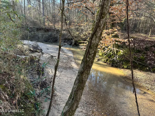 $1,920,000 | Hickory Ridge Road, Hermanville, MS 39086